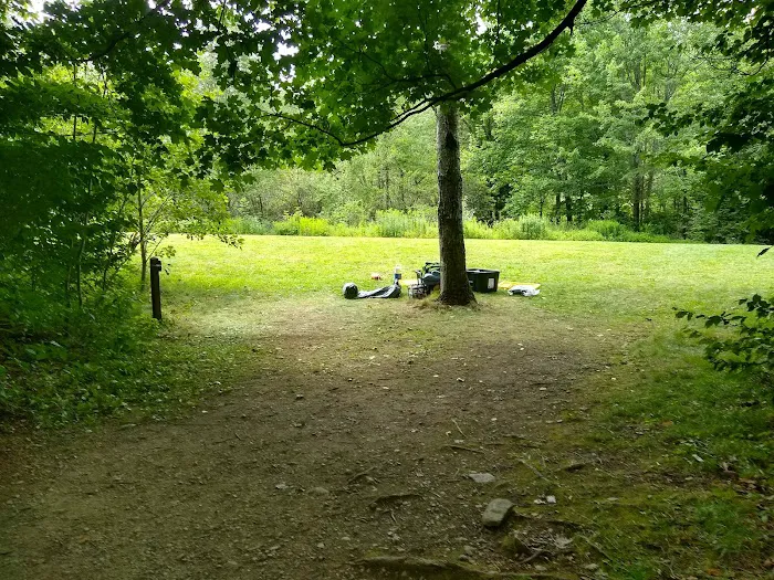 Hapgood Pond Campground Picture 1