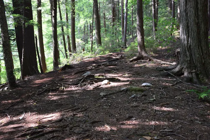 Hapgood Pond Campground Picture 8