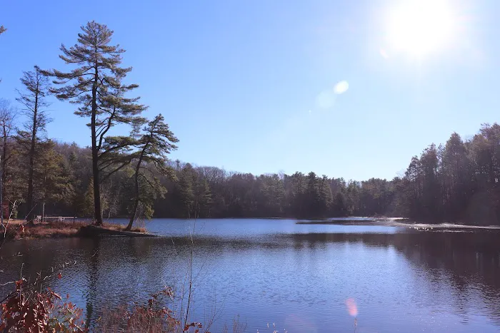 Taber Creek Picture 10