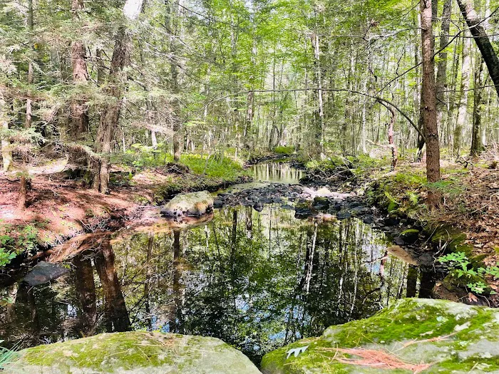 Taber Creek Picture 7