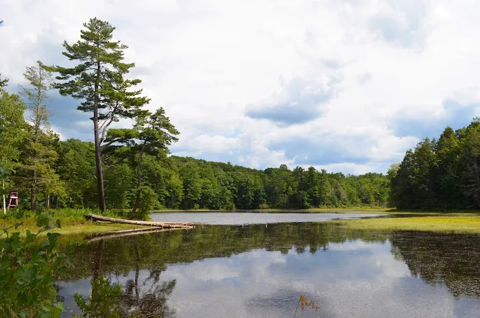 Taber Creek Picture 3