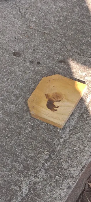 JN Webster Perregaux Cabin Picture 1