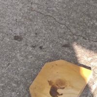 JN Webster Perregaux Cabin ico