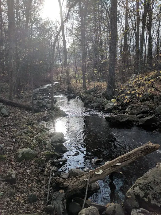 JN Webster Perregaux Cabin Picture 10