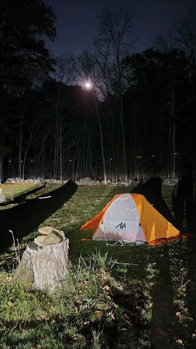 JN Webster Perregaux Cabin Picture 5