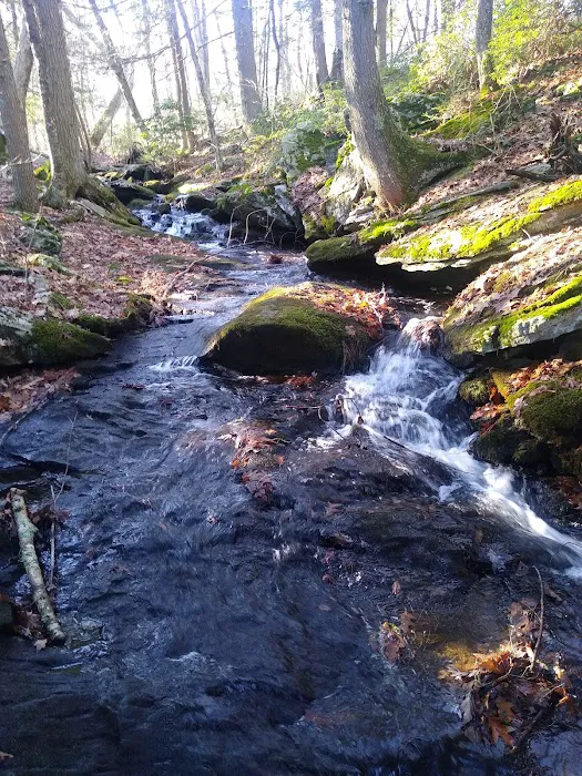 JN Webster Perregaux Cabin Picture 4