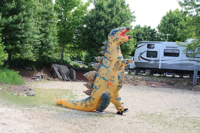 Village Green Family Campground Picture 9