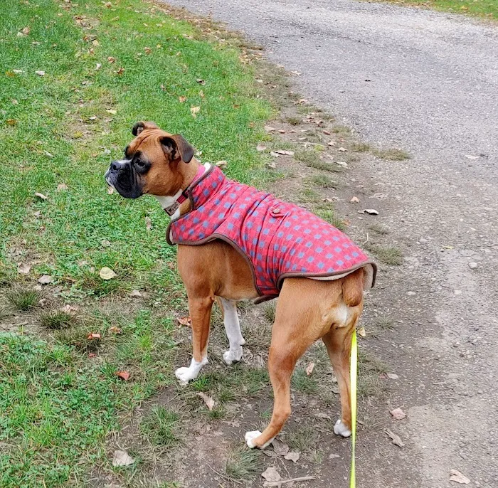 Charlie Brown Campground Picture 10