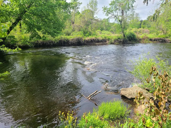 Peppertree Campground Picture 2