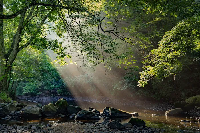 Peppertree Campground Picture 7