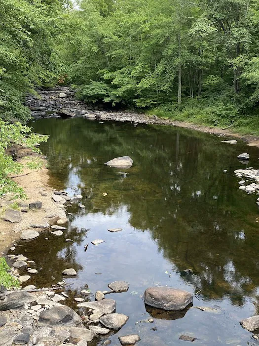 Cha-WI-MA Co-Op Picture 7