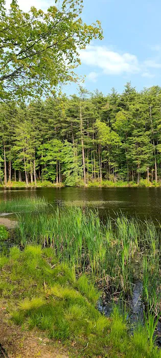 Pine lake campground Picture 3