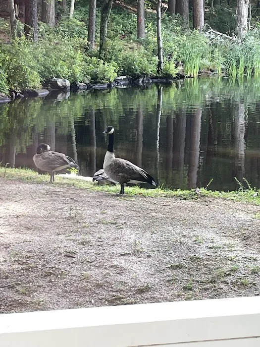 Pine lake campground Picture 1