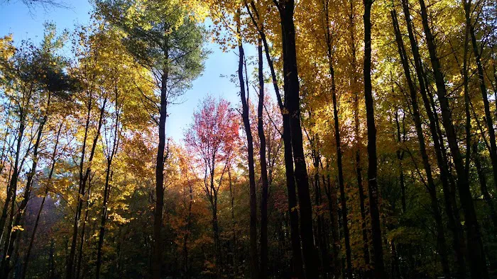 Beaver Pines Campground Picture 1