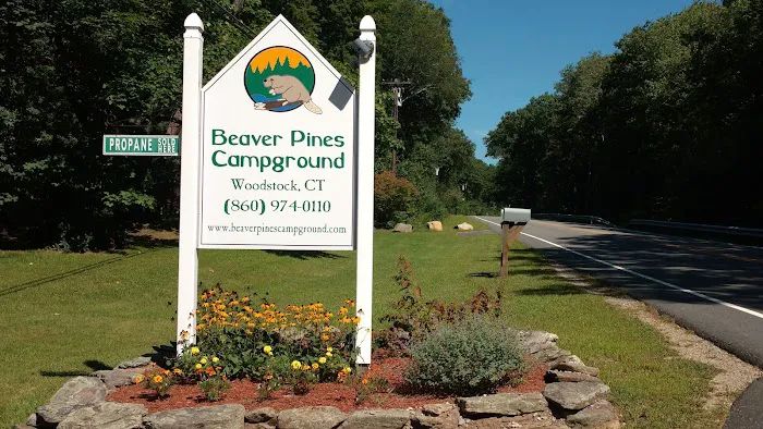 Beaver Pines Campground Picture 4