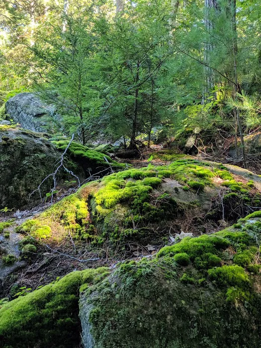 Solair Recreation League Picture 7