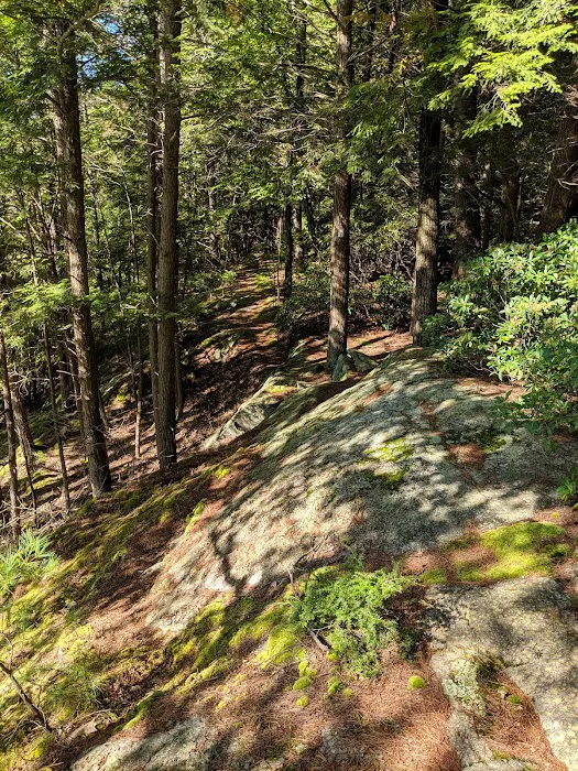 Solair Recreation League Picture 8