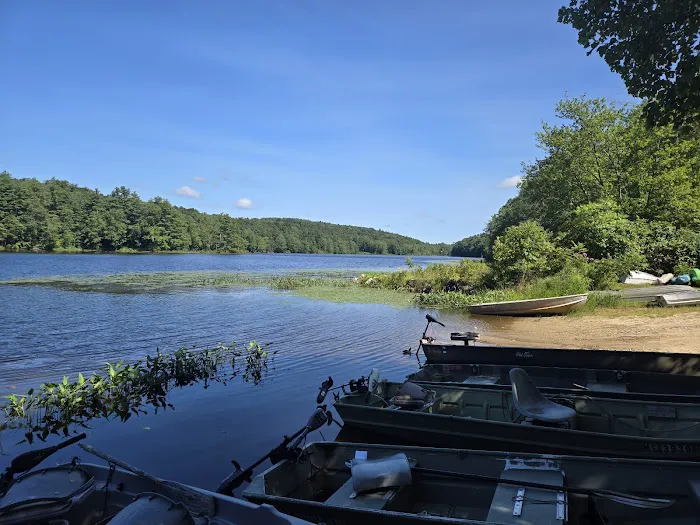 Chamberlain Lake Campground Picture 2