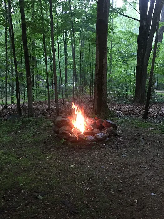 Chamberlain Lake Campground Picture 3