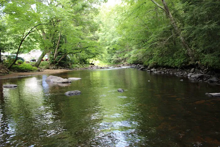 Nickerson Park Family Campground Picture 5