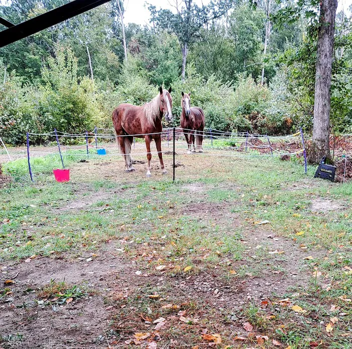 Silvermine Horse Campsite Picture 8
