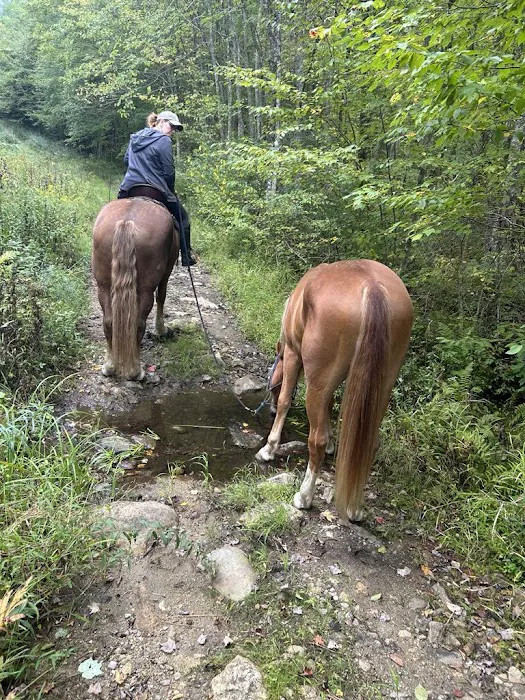 Silvermine Horse Campsite Picture 7
