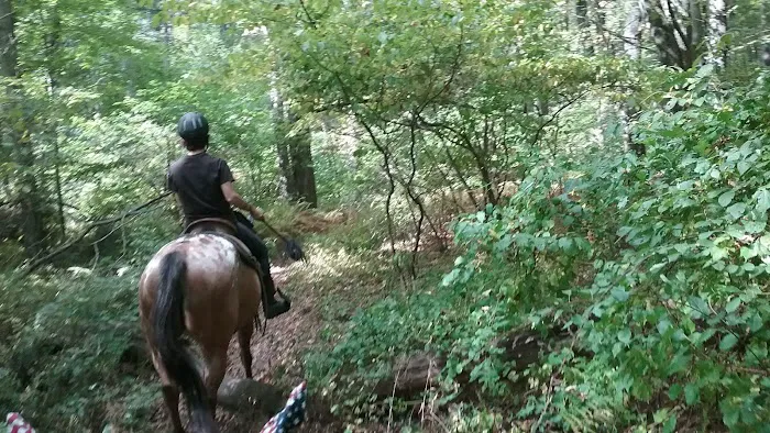 Silvermine Horse Campsite Picture 3