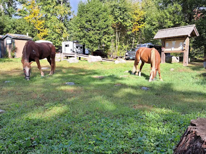 Silvermine Horse Campsite Picture 9
