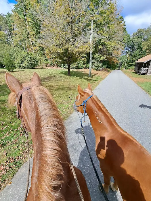 Silvermine Horse Campsite Picture 6