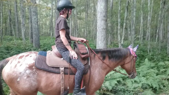 Silvermine Horse Campsite Picture 2