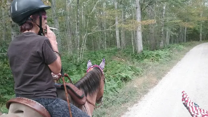 Silvermine Horse Campsite Picture 4