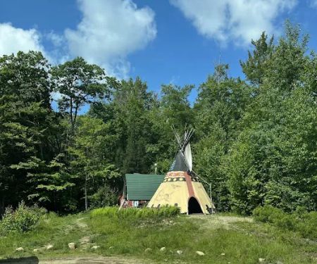 Salamander Hollow Healing Habitat