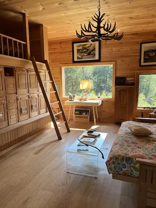 Salamander Hollow Healing Habitat Picture 3
