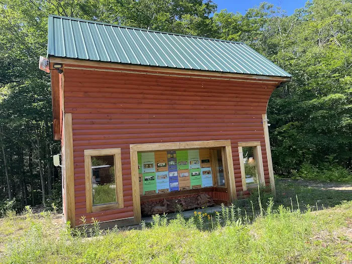 Salamander Hollow Healing Habitat Picture 4