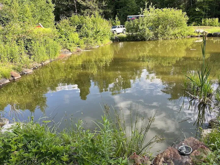 Salamander Hollow Healing Habitat Picture 9