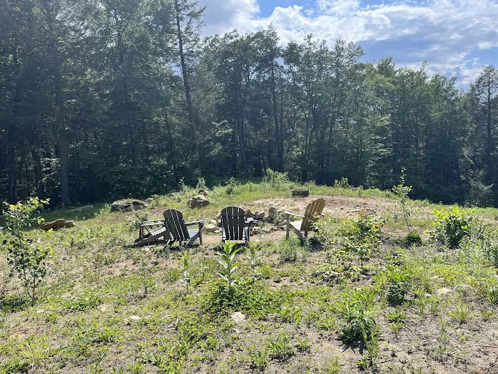 Salamander Hollow Healing Habitat Picture 10