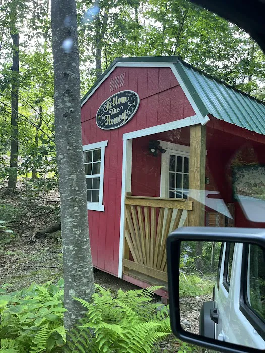 Salamander Hollow Healing Habitat Picture 6