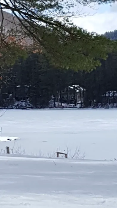 Forest Lake Campground Picture 9