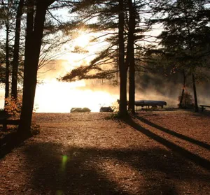 Shir-Roy Camping Area Picture 5