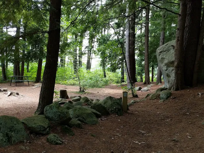 Tully Lake Campground Picture 7