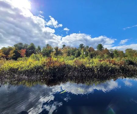 Tully Lake Campground