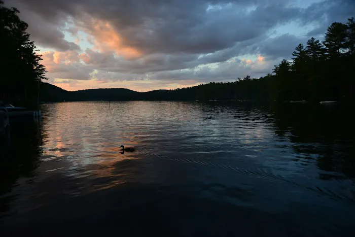 Swanzey Lake Camping Area Picture 4