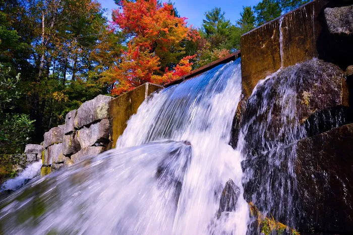 Swanzey Lake Camping Area Picture 5