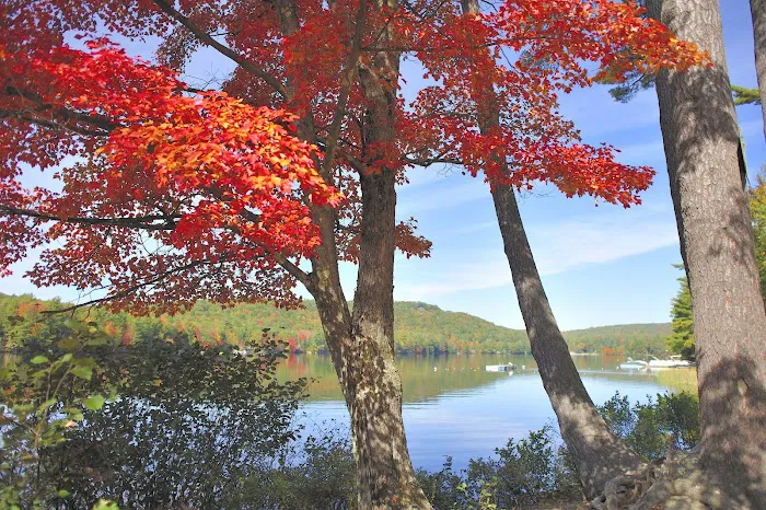 Swanzey Lake Camping Area Picture 9