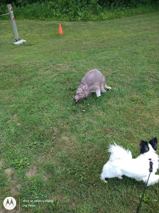 Ashuelot River Campground Picture 5