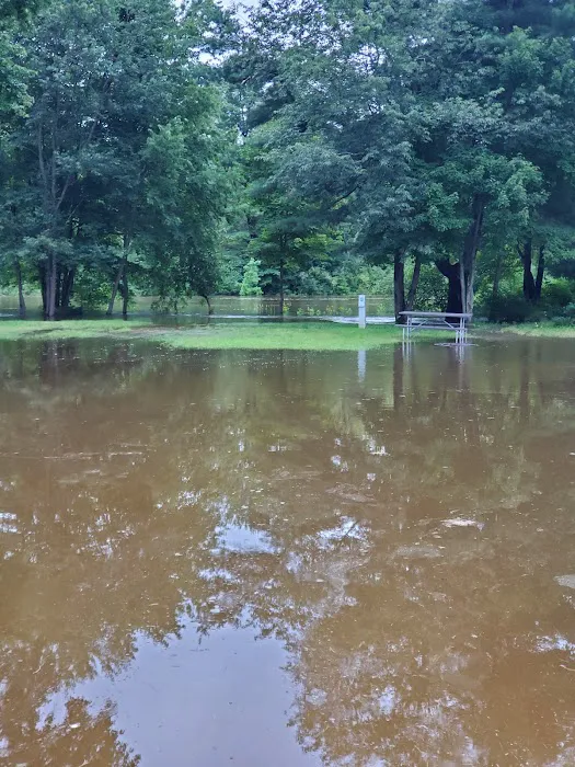 Ashuelot River Campground Picture 9