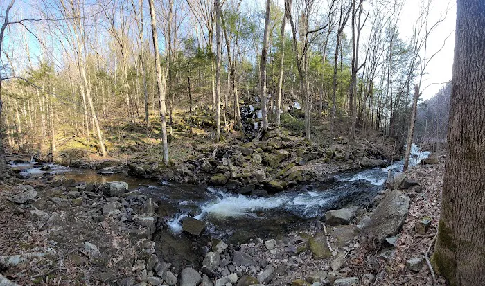 Surry Mountain Camp Ground Picture 7