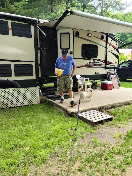 Surry Mountain Camp Ground Picture 1