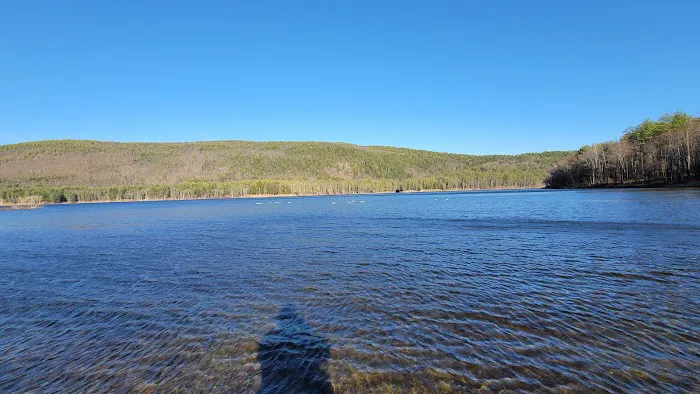 Surry Mountain Camp Ground Picture 6