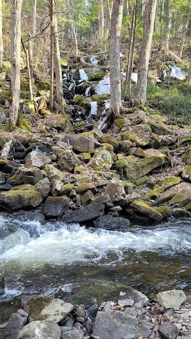 Surry Mountain Camp Ground Picture 10